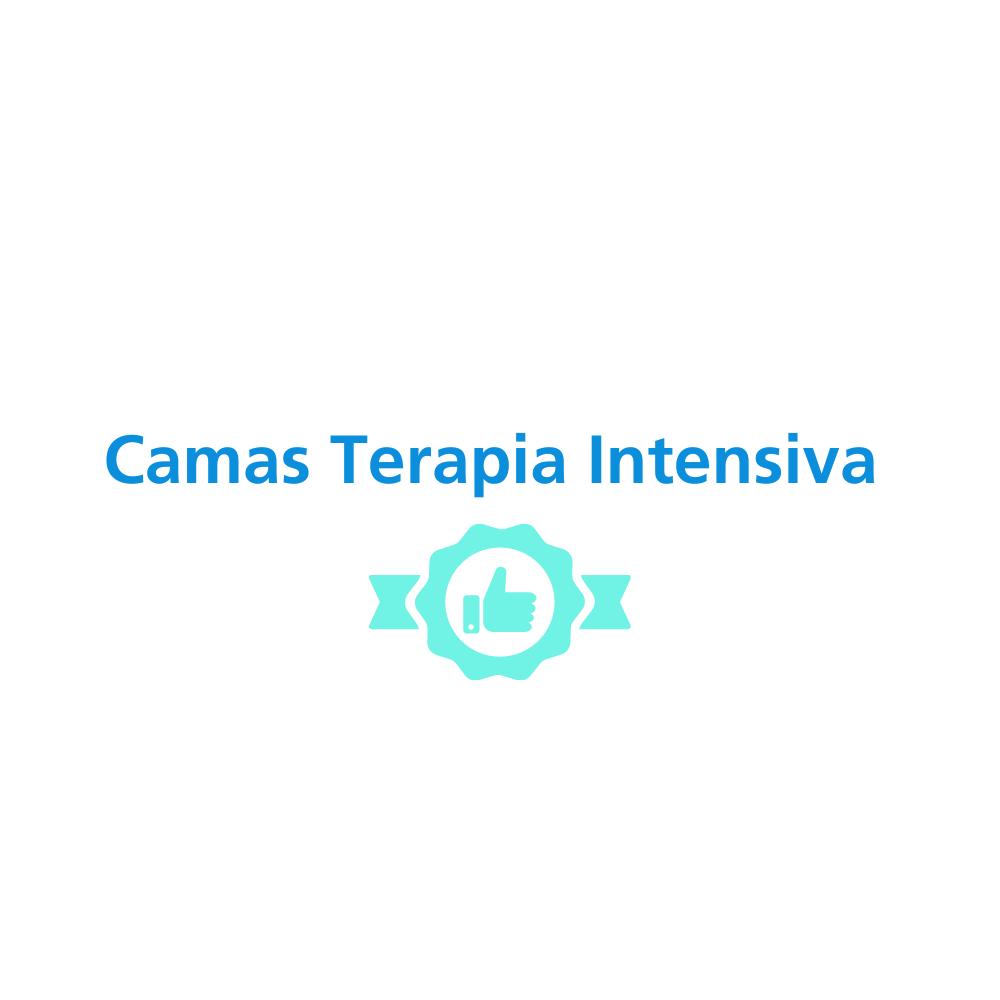 Camas de Terapia  Intensiva